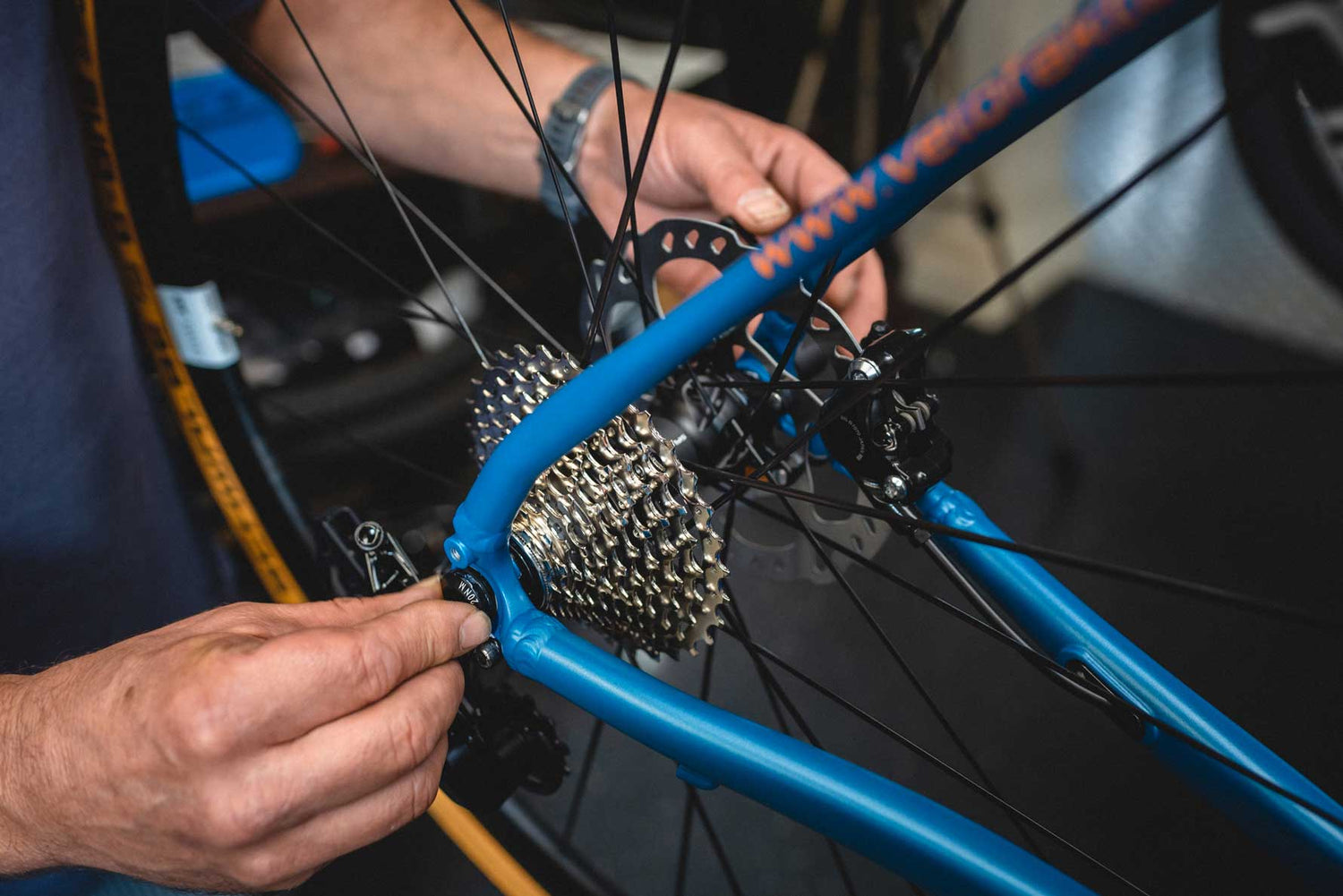 Genaue Inspektion der Fahrradkette beim Service.